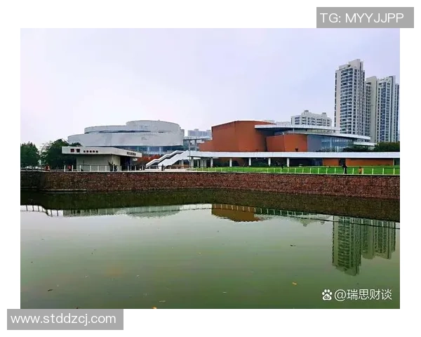 杭州乒乓球队的崛起之路:从默默无闻到全国瞩目的成长历程