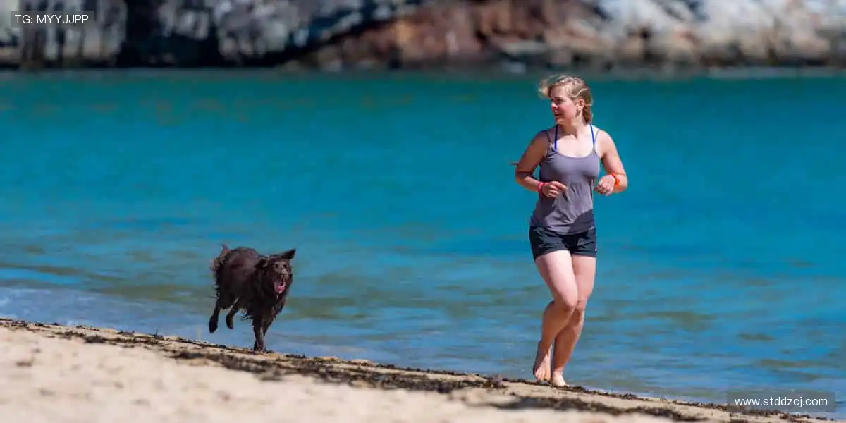 🏀高清直播,每一秒都让你心跳加速!